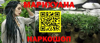 каннабис Майкоп