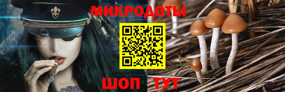 Кубинка  Псилоцибиновые грибы Psilocybine cubensis  Вход с VPN  Псилоцибиновые грибы MAGIC MUSHROOMS 